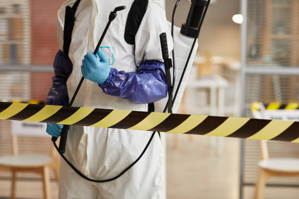 Professional Sewage Cleanup technician working in Brewster, NY